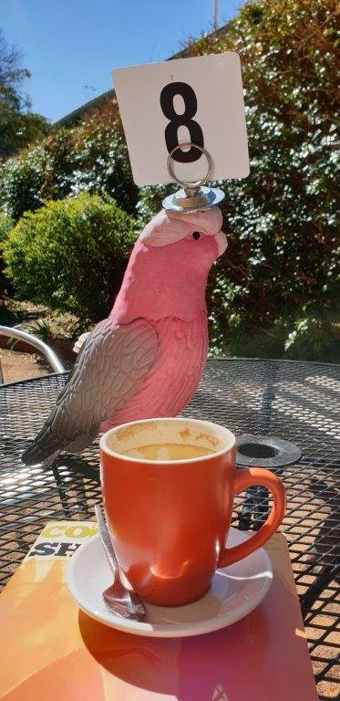 Two Eight Two Eight-Gulargambone必去景点