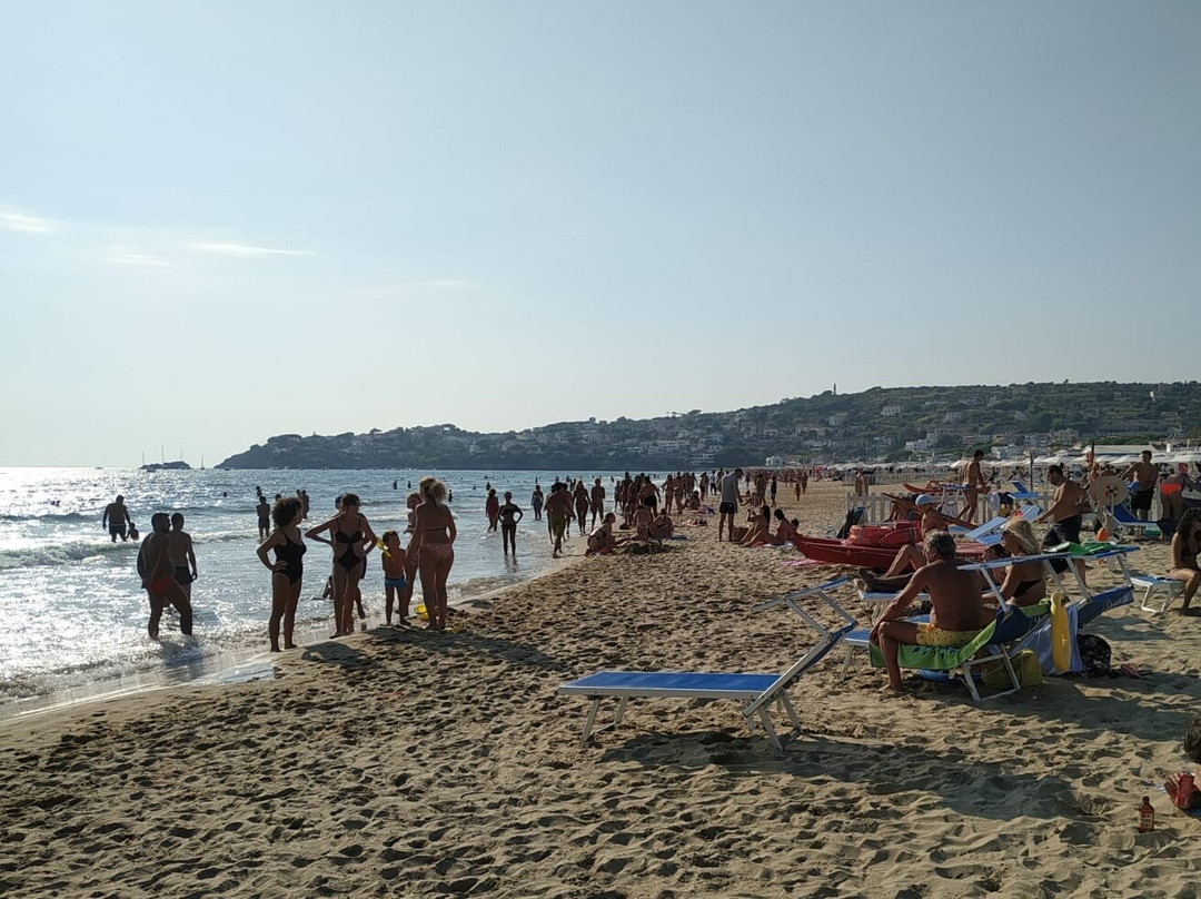 Il Fannullone, spiaggia attrezzata景点图片