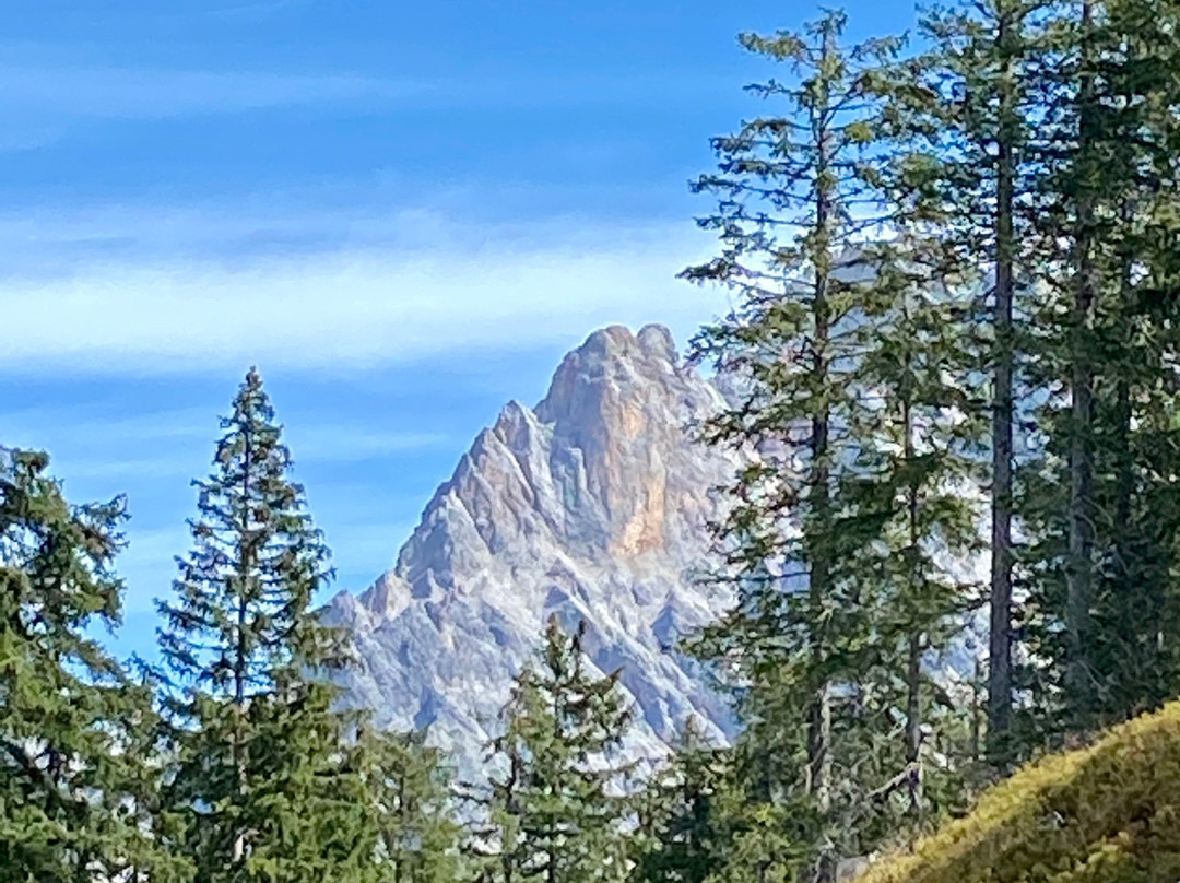 Landhotel Schafhuber主图