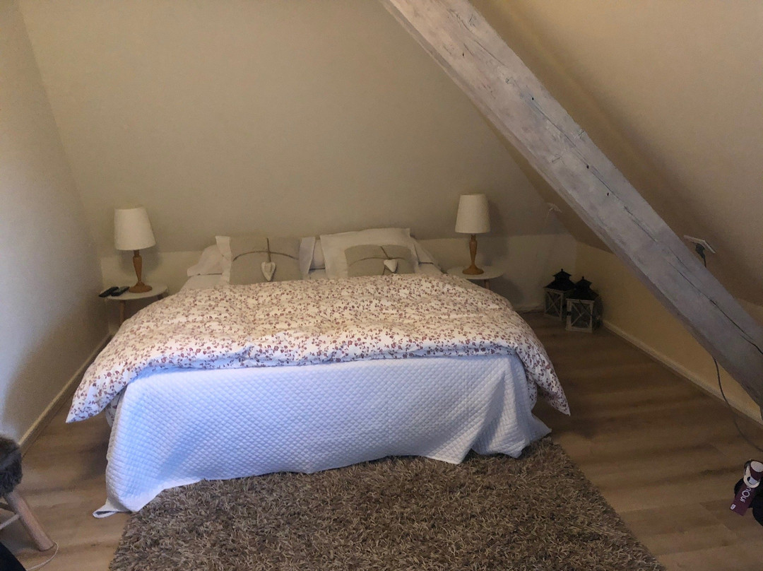 Hôtel Belle Vue主图