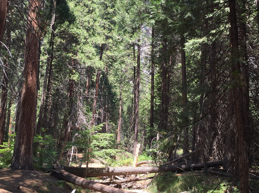Lower Yosemite Fall Trail景点图片