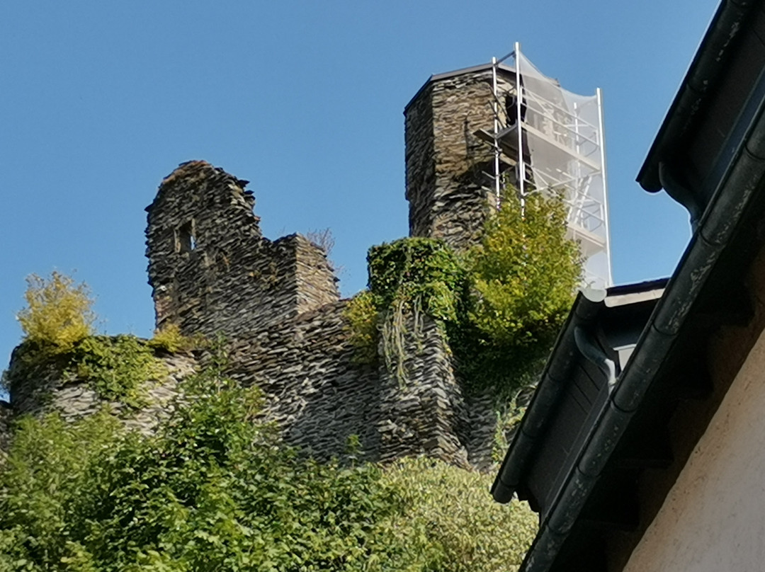 Burg Altwied景点图片