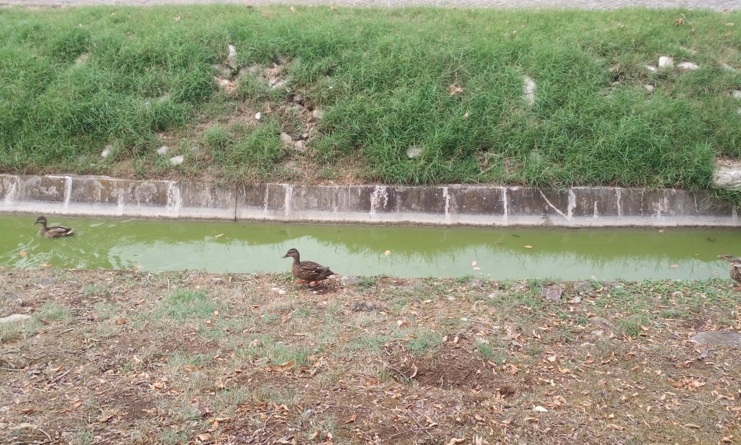 Parco Urbano Franco Agosto景点图片
