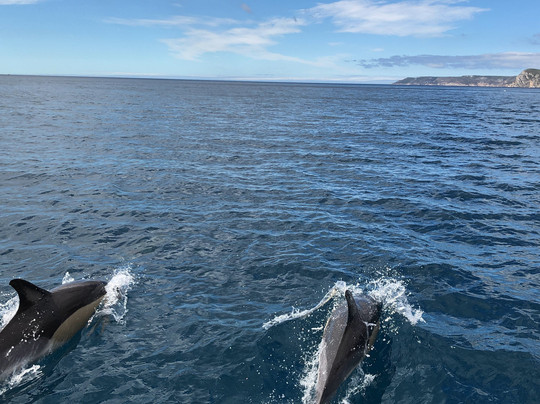 Anthia Diving Center-塞新布拉必去景点