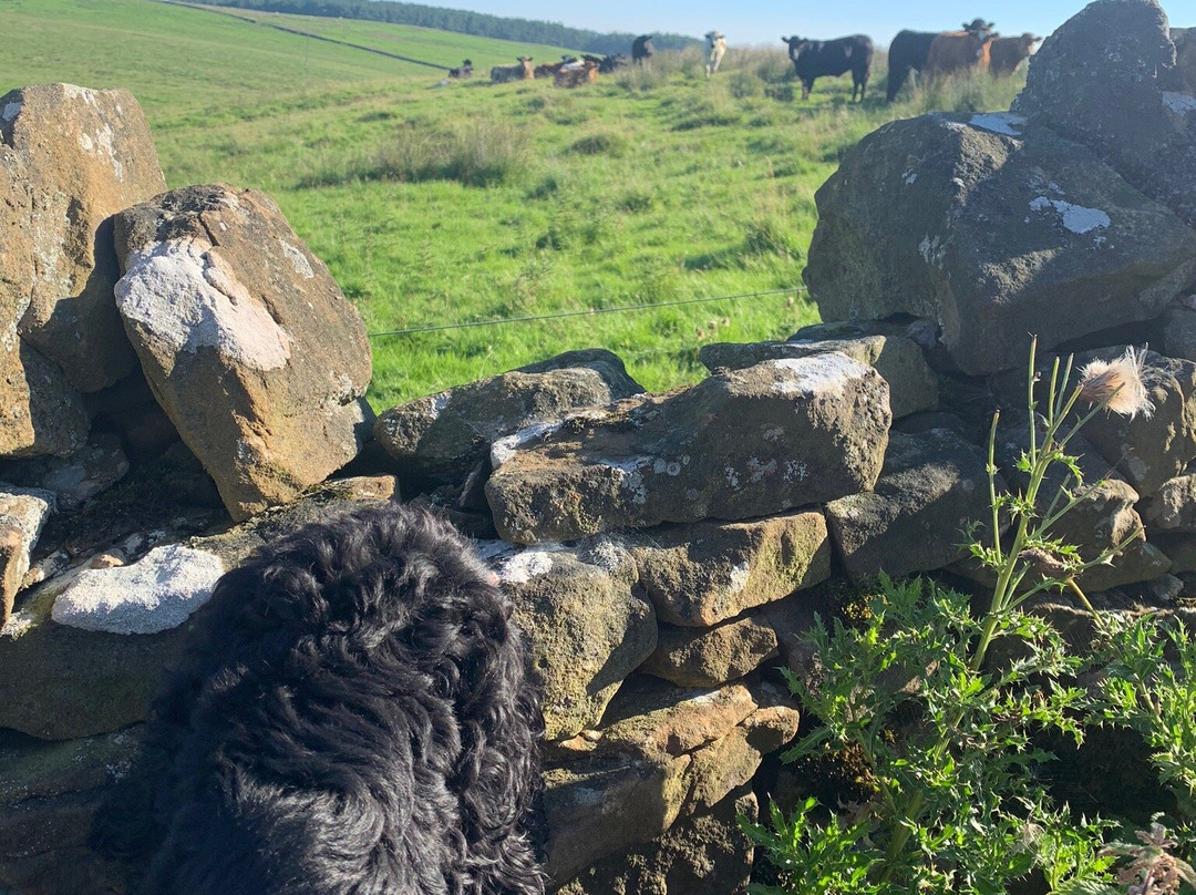 Grindon Farm - Cartshed & Old Farmhouse主图