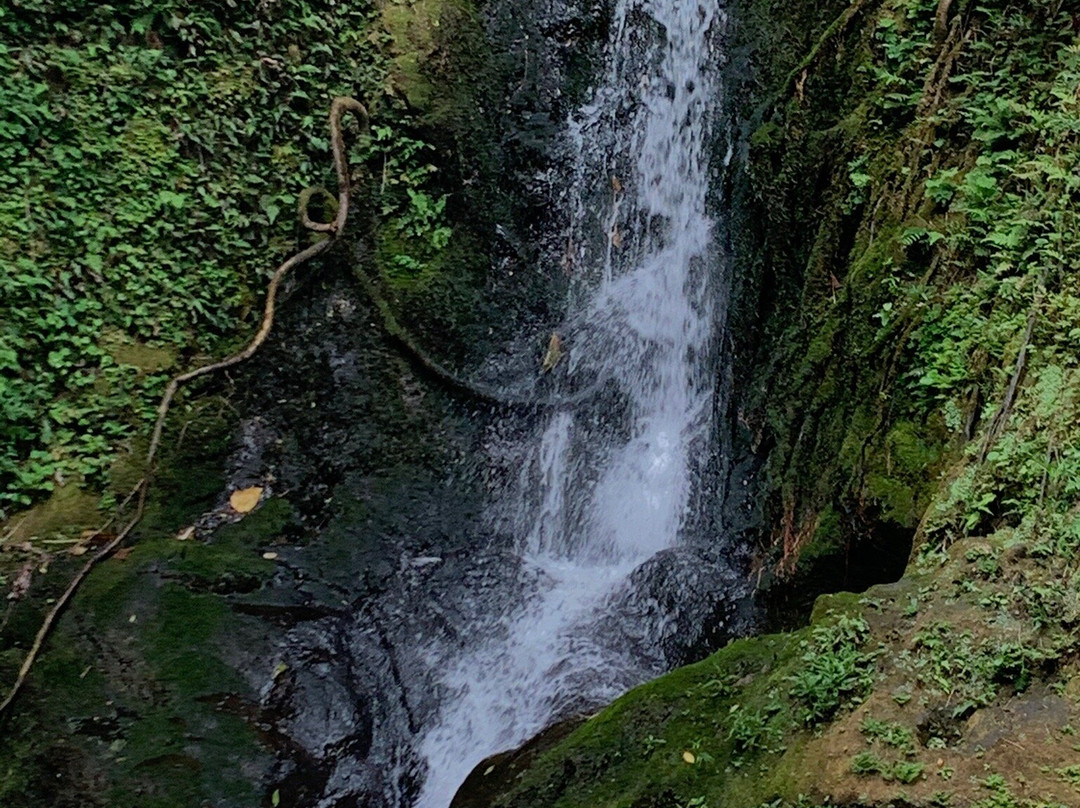 Mamamakole Falls景点图片