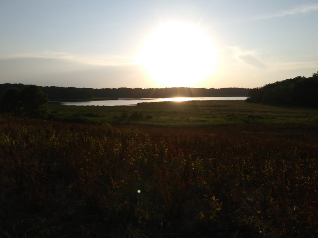 Elm Creek Singletrack Trail景点图片