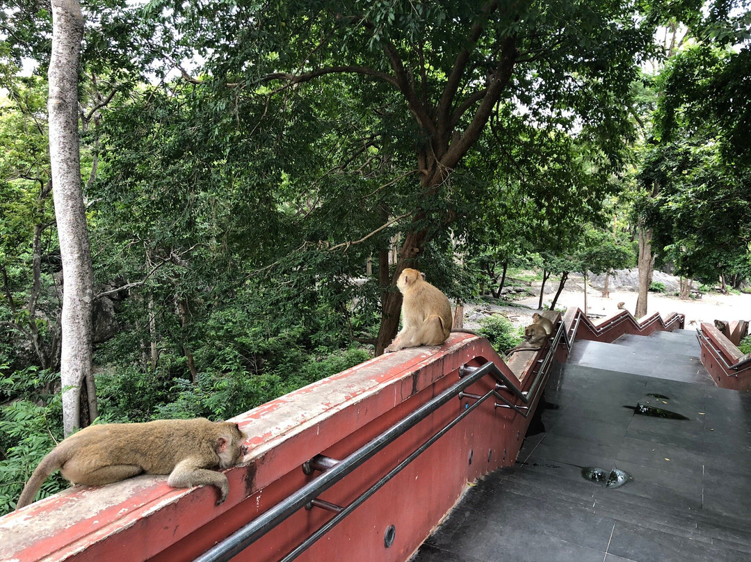 Wat Phra Phutthachai景点图片