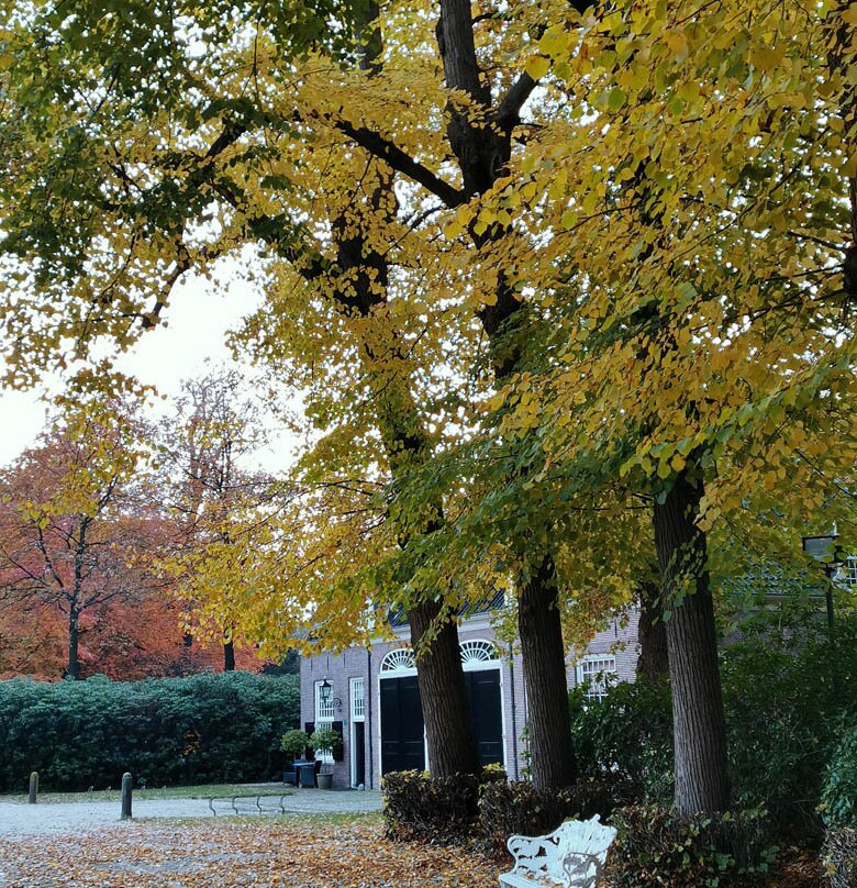 Buitenplaats Sparrendaal-Driebergen-Rijsenburg必去景点