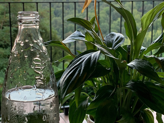 Castagneto Po旅游攻略图片