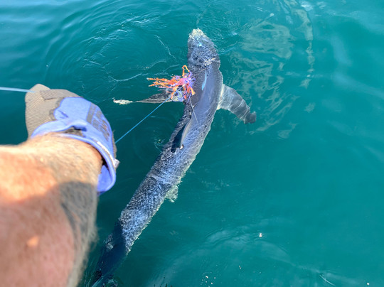 Plymouth Charters-普利茅斯必去景点