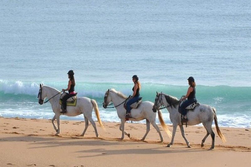 Xperience by Horse-Zahora必去景点