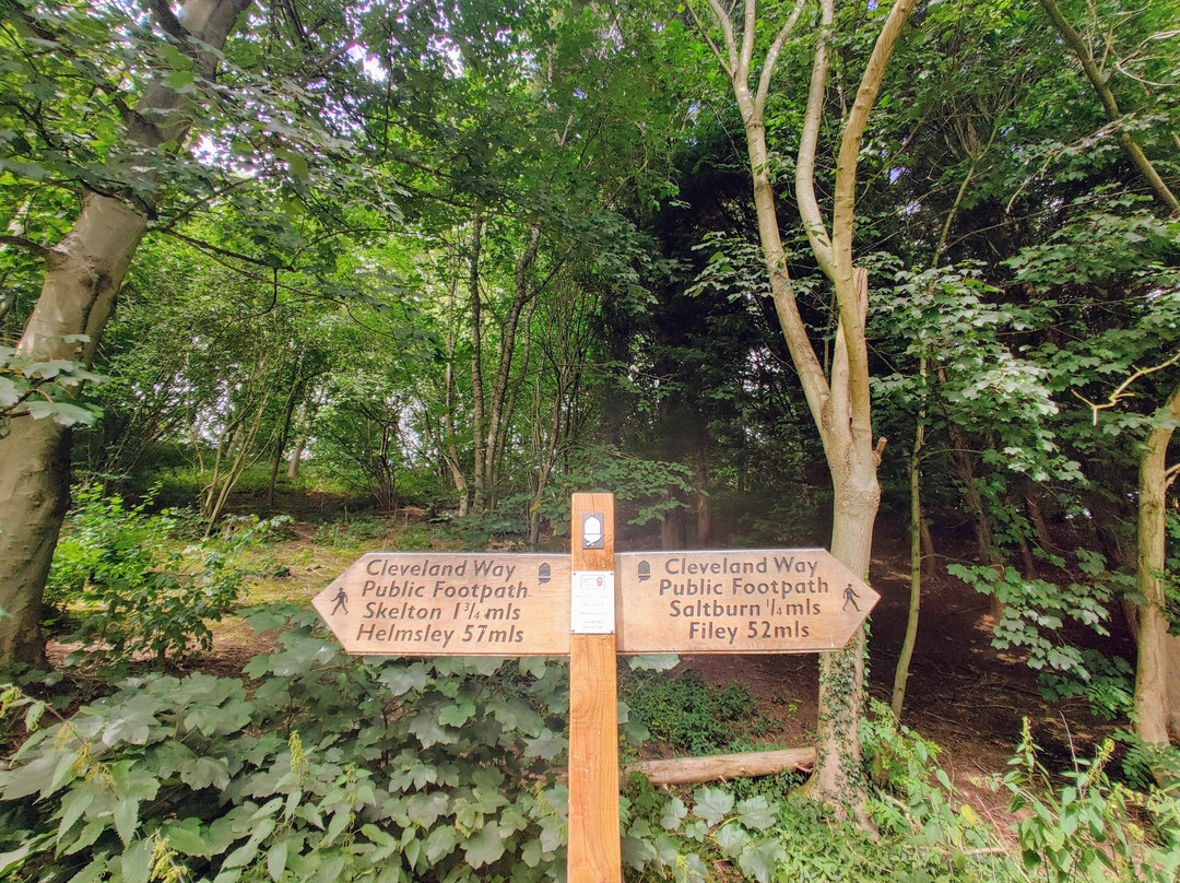 Saltburn Valley Gardens景点图片