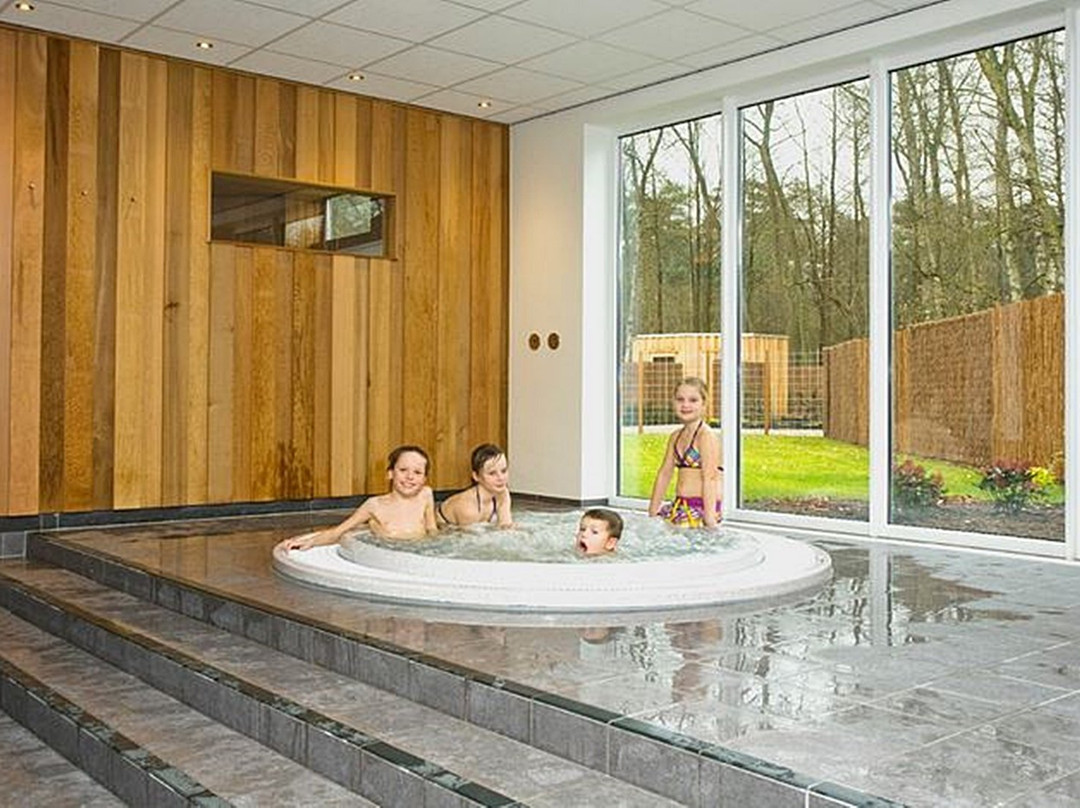 罕布什尔酒店主图