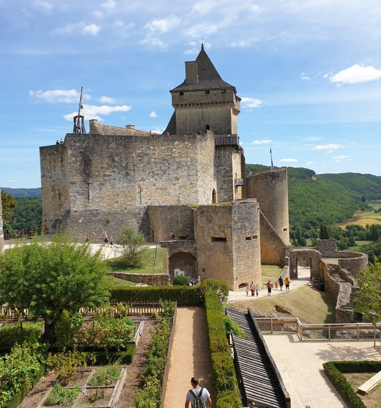 Chateau de Castelnaud景点图片