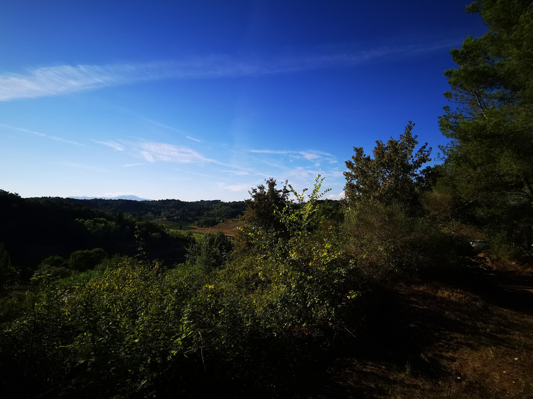 Santa Barbara Country House主图