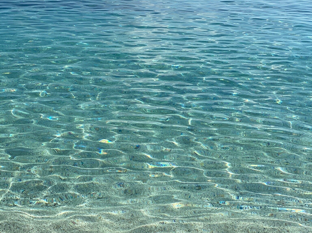Stabilimento Balneare I Fenicotteri-斯廷蒂诺必去景点
