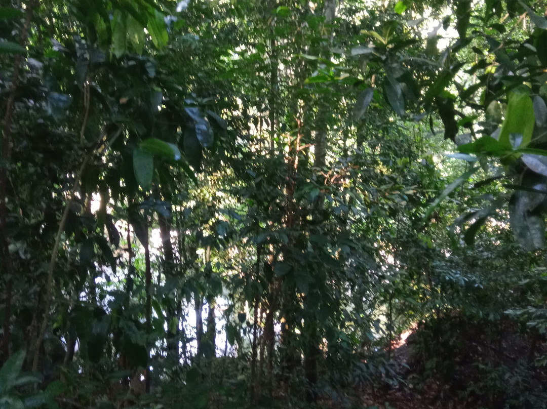 Cachoeira Da Concórdia-Guapimirim必去景点