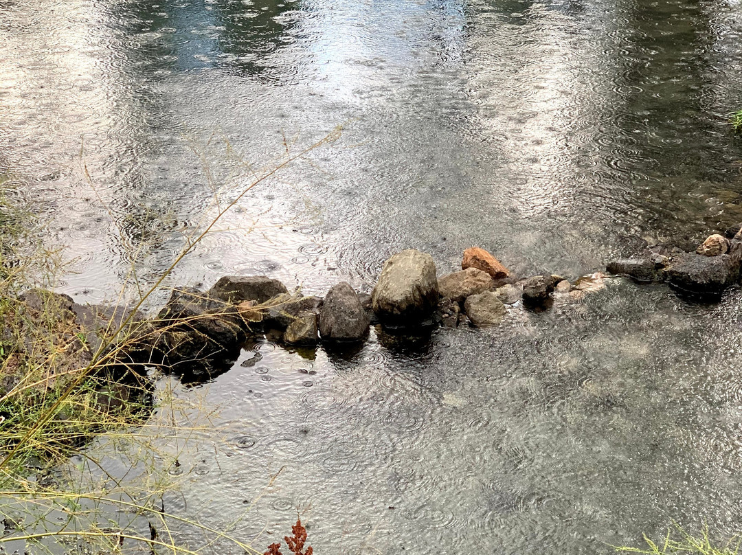 McCauley Warm Springs-Jemez Springs必去景点