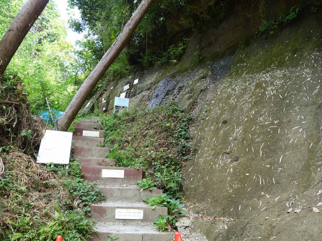 Chikyu Jiba Gyakuten Chiso-市原市必去景点