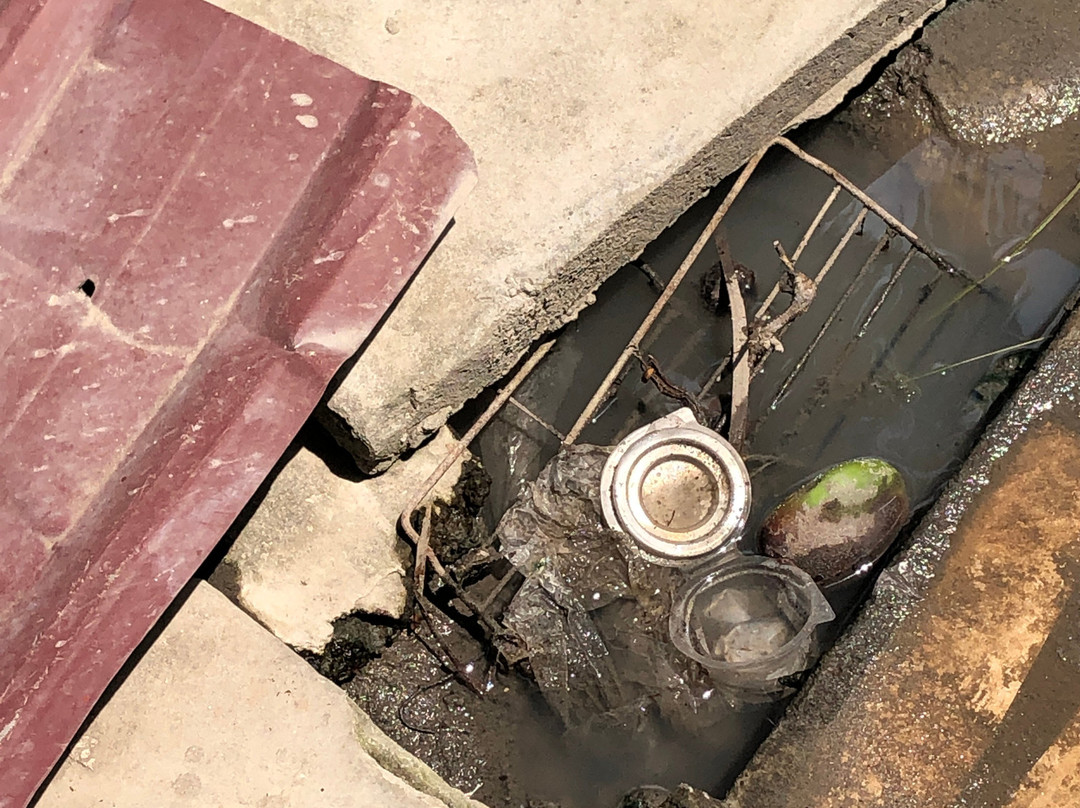 Marynice Place Lodge主图