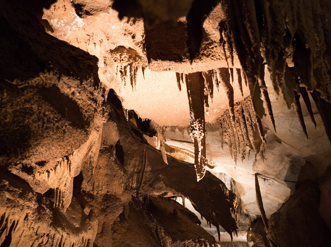 Grotte de la Cocalière景点图片