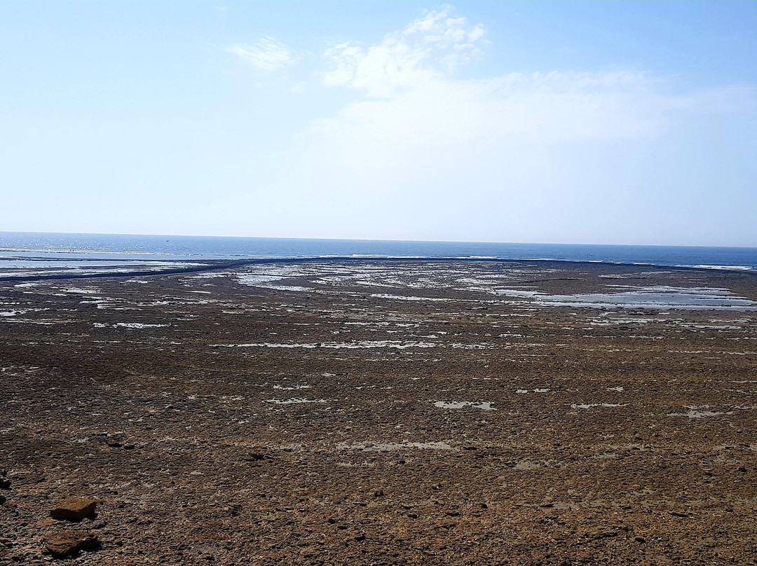 Pointe de Chassiron景点图片