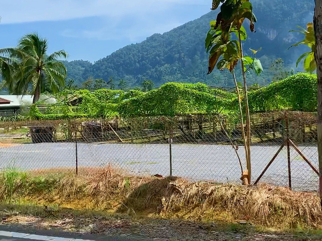 Taman Anggur Perlis景点图片