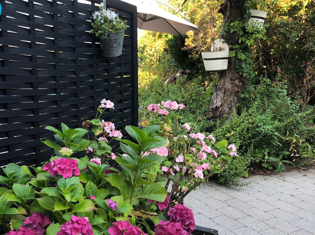 Kathrines Bed & Breakfast主图