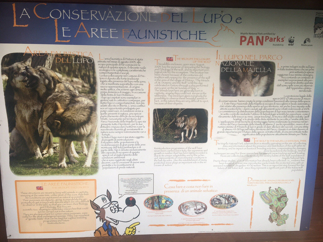 Area faunistica del Lupo-Pretoro必去景点