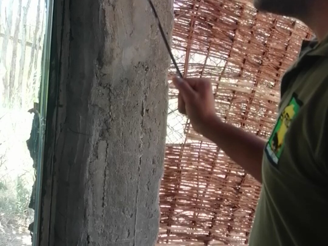 Africa Safari Park & Motel主图