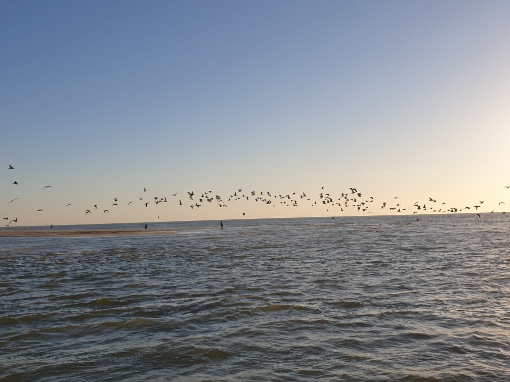 Bateau Baie de Canche景点图片