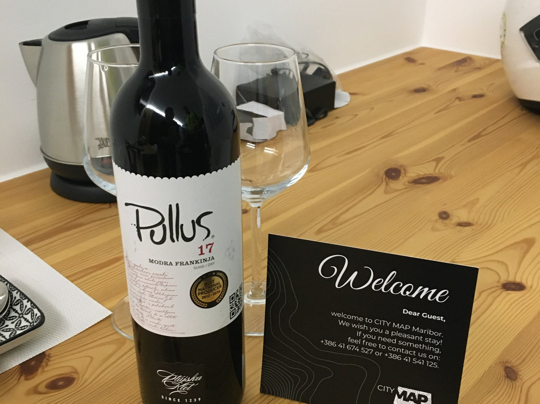 Hotel City Map Maribor主图