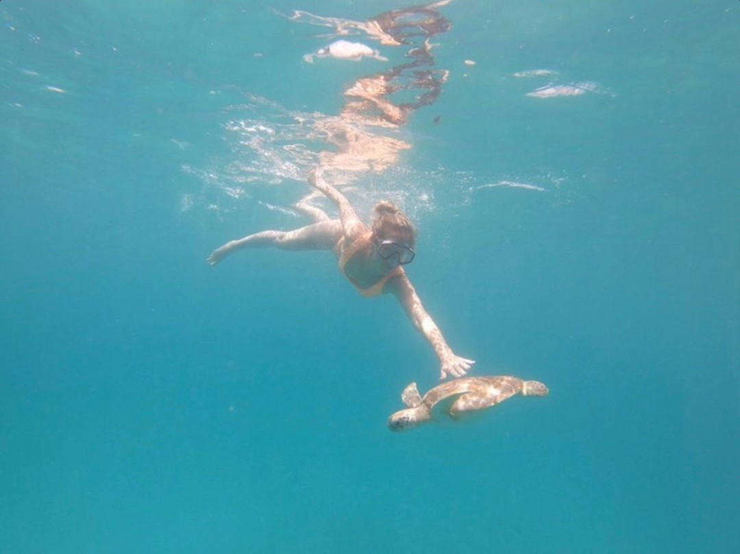 Team Baywatch Watersports-Holetown必去景点