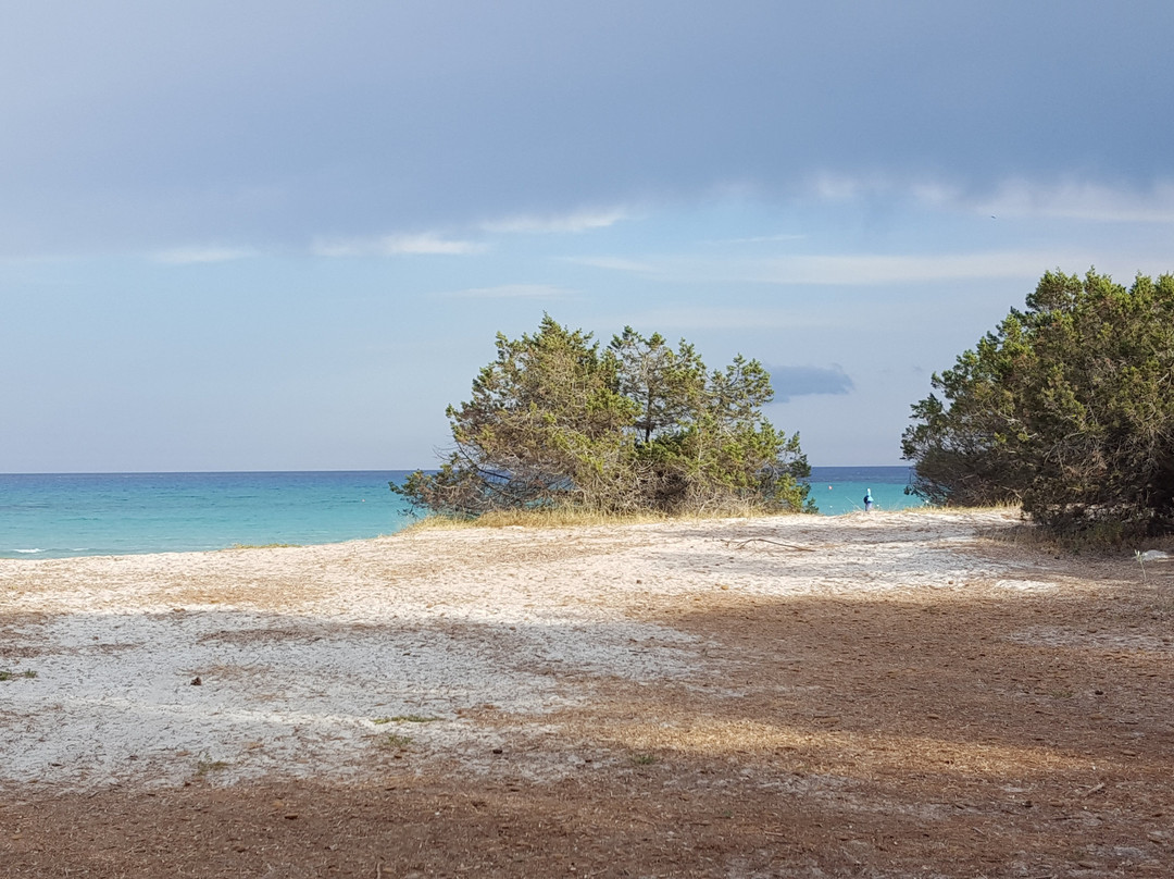 Cala Ginepro Beach-San Teodoro必去景点