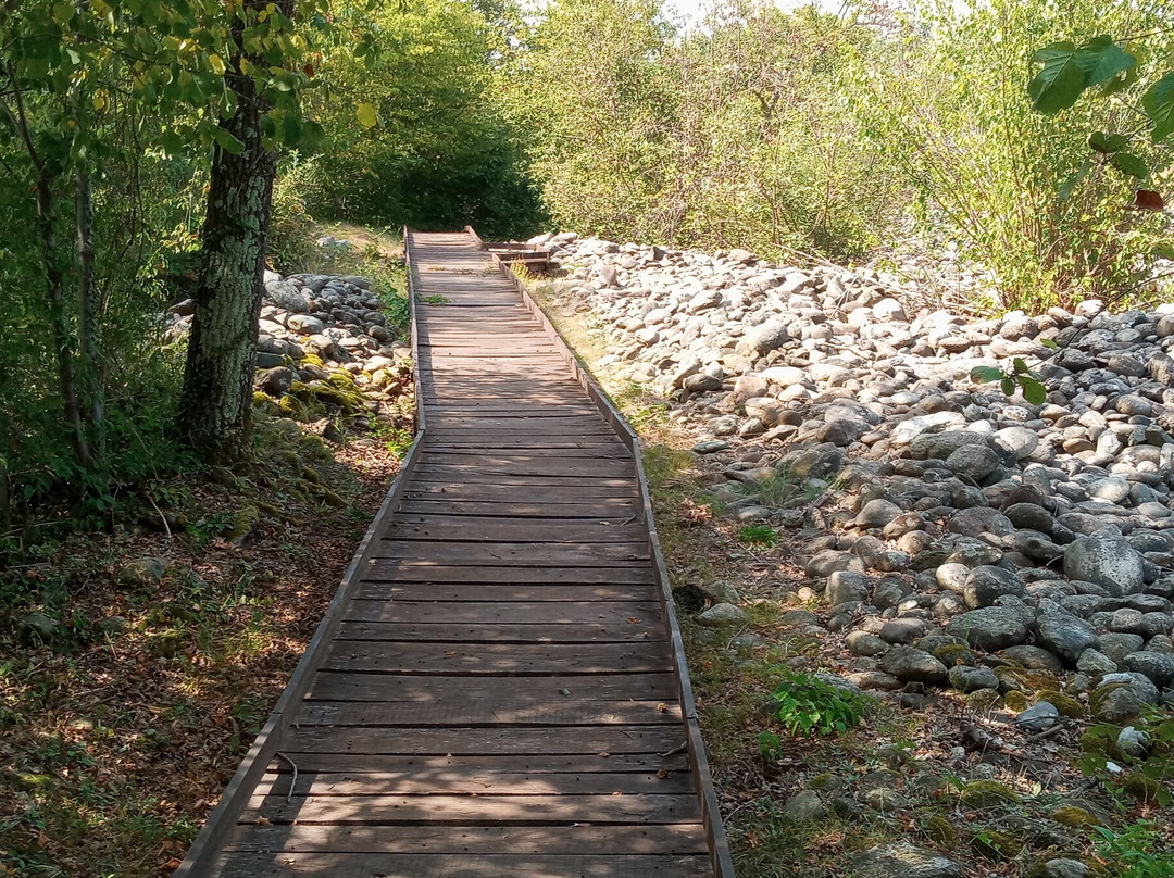 Riserva Naturale Speciale della Bessa景点图片