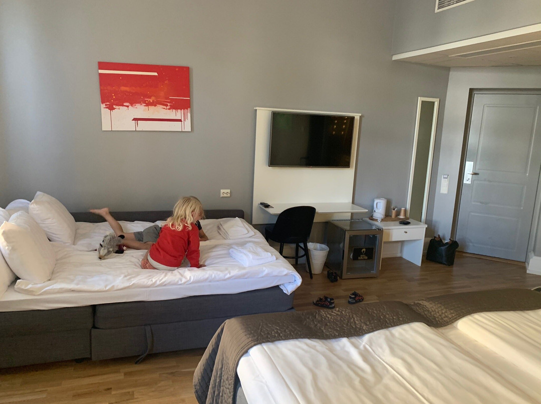 Hotel Hjalmar主图