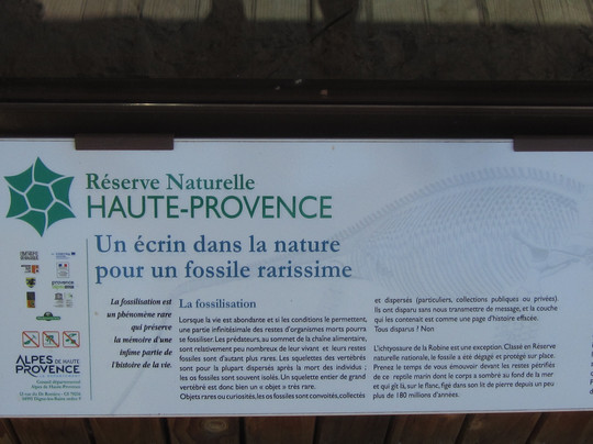 L'Ichtyosaure-La Robine-sur-Galabre必去景点