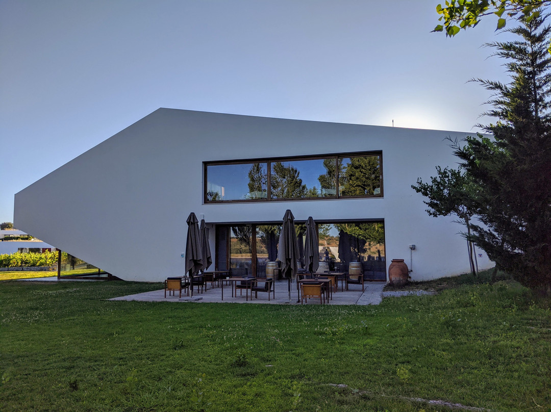 L'AND Vineyards主图