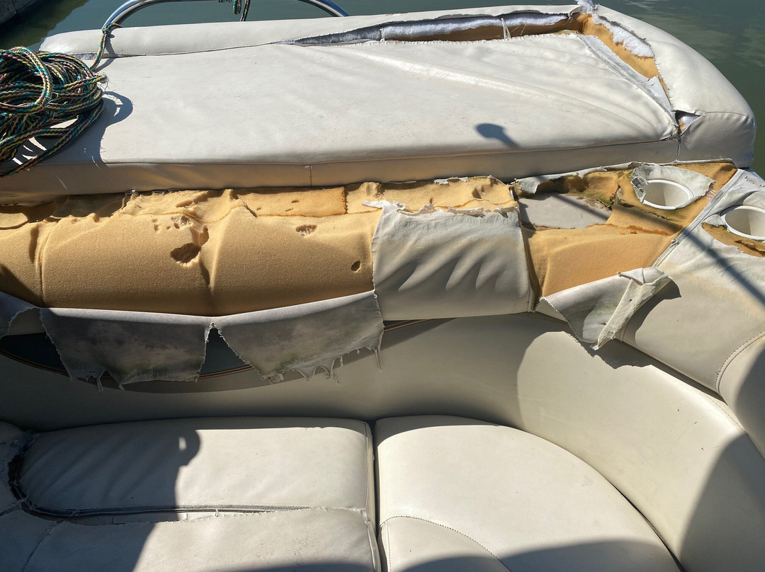 North Point Boat Rentals景点图片