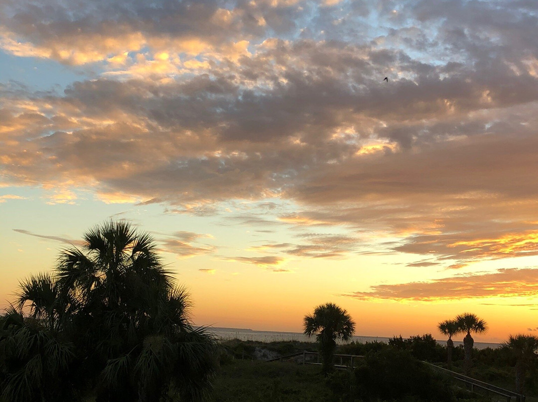 Savannah River Beach景点图片