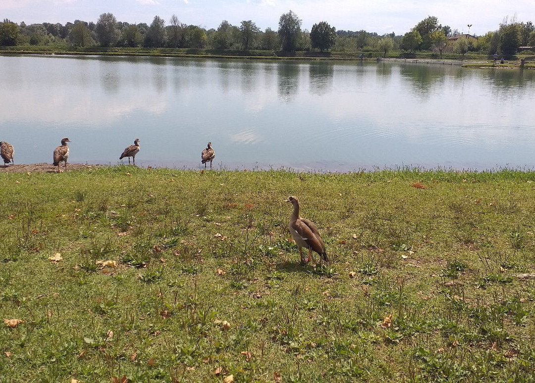 Laghi Curiel景点图片