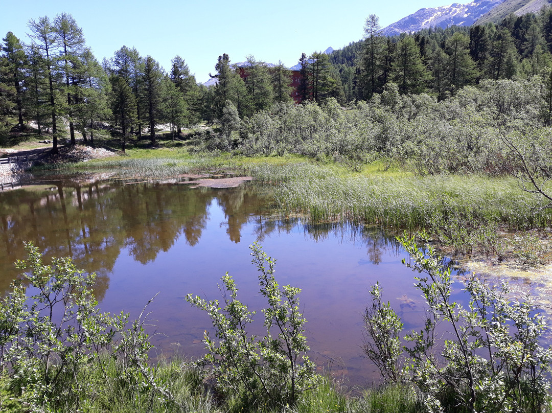 Gola del Rio Plima-Martello必去景点