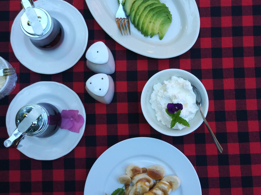 Vertical Horizons Treehouse Paradise主图