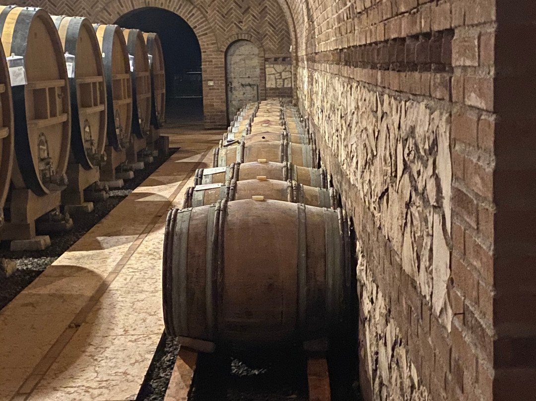 Azienda Agricola Gini Sandro E Claudio景点图片