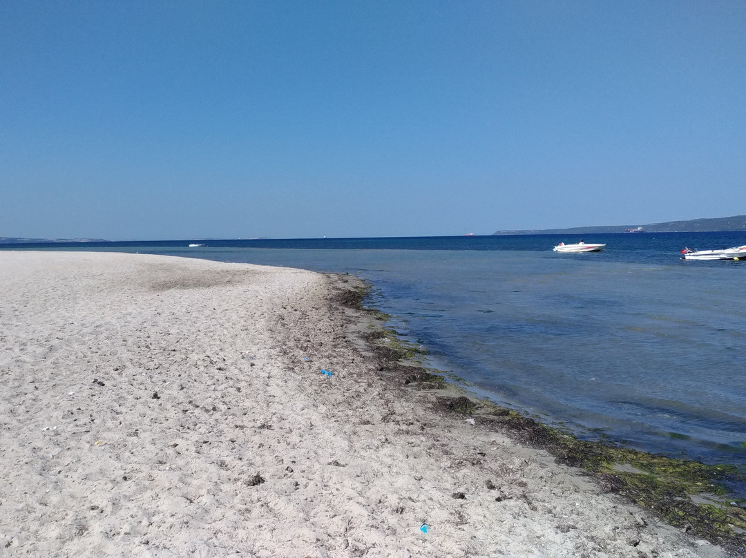 Dardanos Plajı景点图片