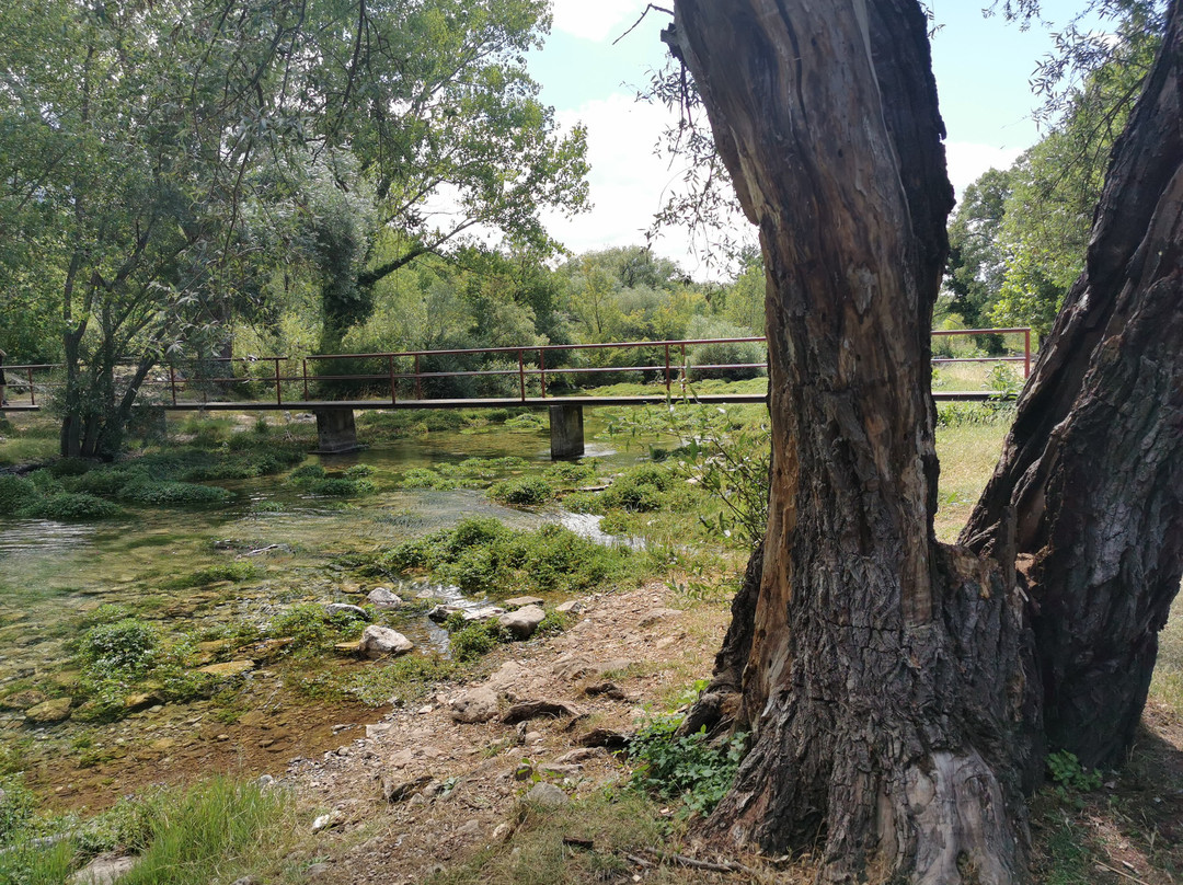 Source of the River Cetina景点图片