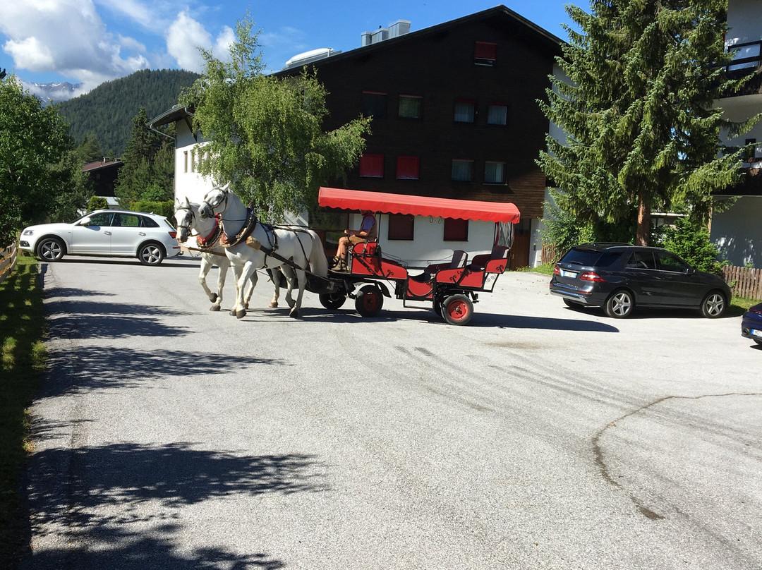 Pferdekutschenfahrten Fiakerei Neuner - Kutschenfahrt Tirol景点图片