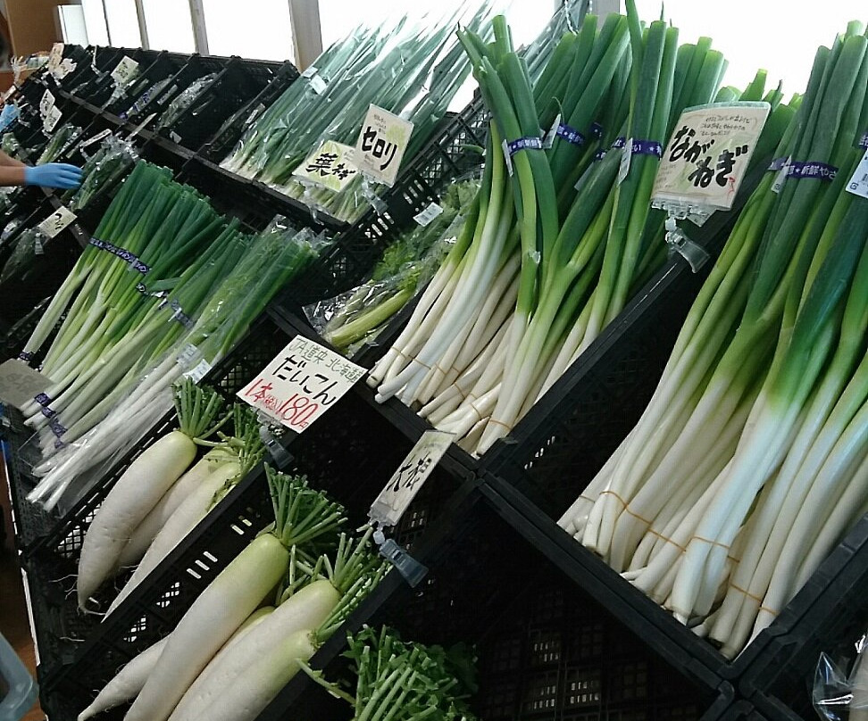 Kururu Forest-北广岛市必去景点