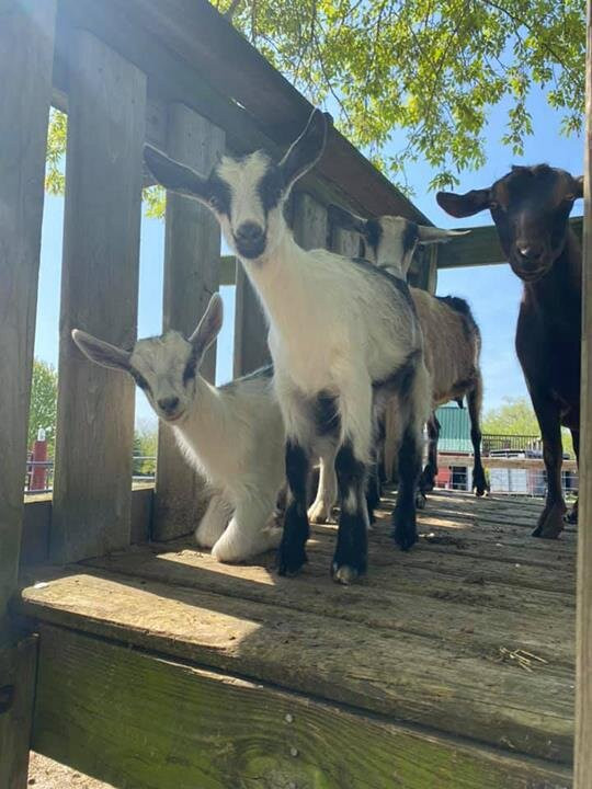 Patch 22-Wadsworth必去景点